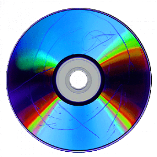 HommeGirls x Gucci Flora, Raine Trainor, art direction