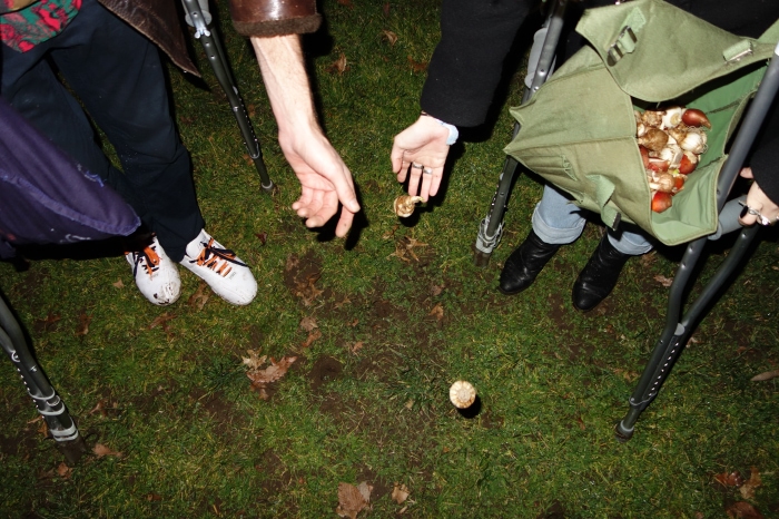 Bud / New York, NY / 2013 Raine Trainor